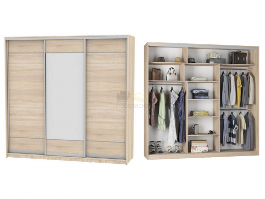 Шкаф-купе Белла B-220х235х60-3 (D7D8D7)